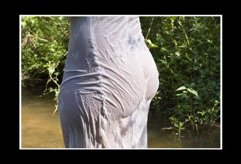 Fotobuch Yvonne - Weißes und nasses Kleid schmiegt sich an den Po